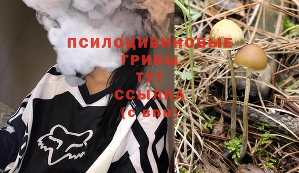 альфа пвп Гусиноозёрск